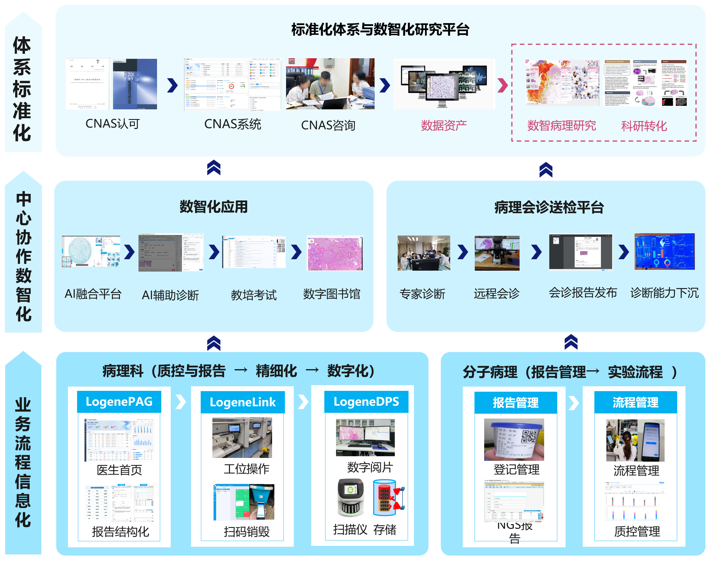 病理数智化解决方案三大平台构建图